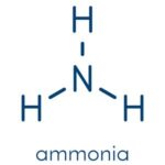 Amonio