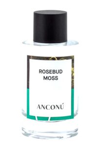 Rosebud Moss Anconu