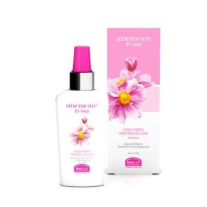 Anemone Rosa Helan