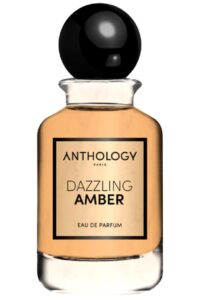 Dazzling Amber Anthology
