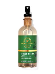 Eucalyptus Spearmint Bath & Body Works