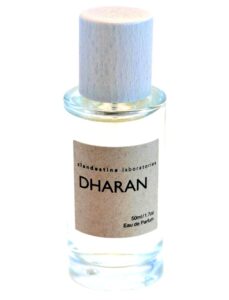 Dharan Clandestine Laboratories