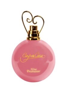 Une Promesse Coup de Coeur