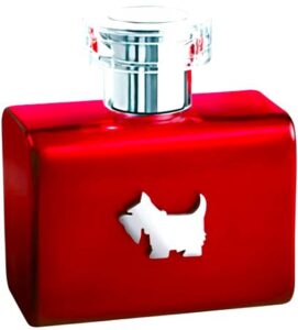 Terrier Red Ferrioni