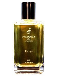Paisaje Fueguia 1833