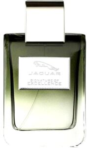 Jaguar Signature of Excellence Jaguar