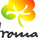 Kazan Perfume Factory Aromat