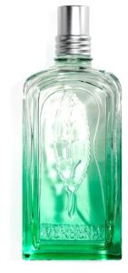 Verveine 2020 L’Occitane en Provence