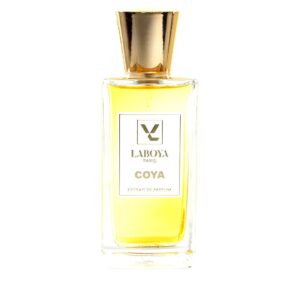 Coya Laboya Paris