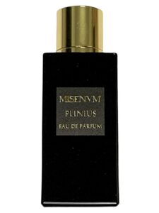 Plinius Misenum