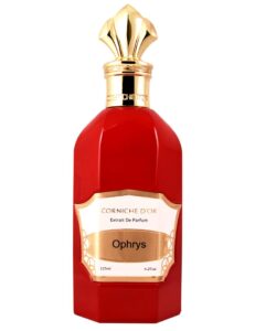 Ophrys Corniche D’Or