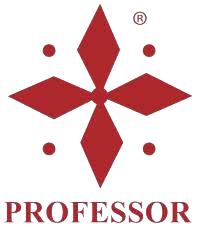 Professor