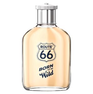 Born To Be Wild Route 66
