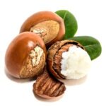 Nueces de karité