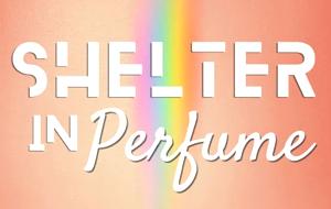 Shelter In Perfume
