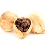 Cardamomo de Siam