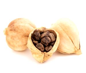 Cardamomo de Siam