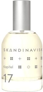 Kapitel 17 Skandinavisk