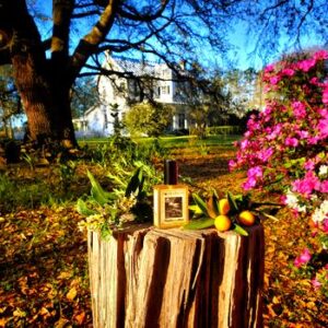 Farmhouse In Spring Solstice Scents