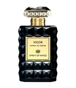 Vigor Spirit Of Kings
