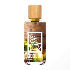 Succulent The Dua Brand