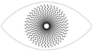 The Eyes Are Always There