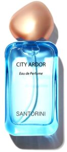 Dream in Santorini Greece The SAEM