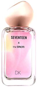 Seventeen X DK The SAEM