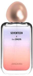 Seventeen X Junghan The SAEM