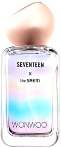 Seventeen X Wonwoo The SAEM