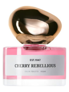 Cherry Rebellious H&M