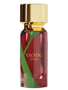 EXOTIC Paradise Rue Broca