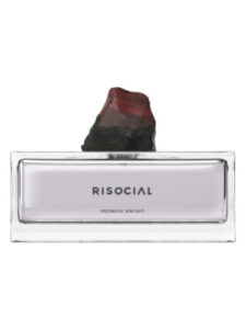 Midnight Knight 午夜骑士 Risocial 在野南杂