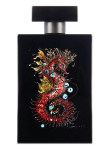 Seahorse Magic Simone Paris