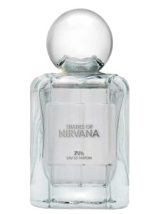 Shades Of Nirvana Zara