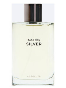 Silver Absolute Zara