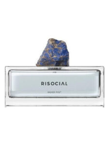 Silver Mist 银雾弧光 Risocial 在野南杂