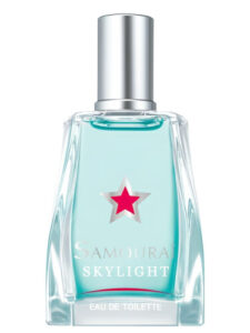 Skylight Samouraï