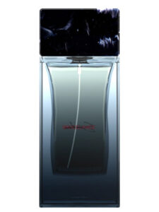 Brocéliande Eau de Parfum Sora Dora