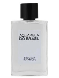 Bromélia Aquarela do Brasil