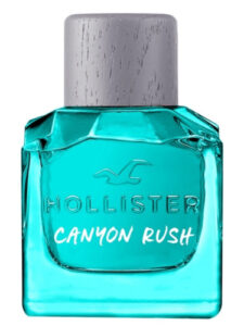 Canyon Rush For Him Hollister