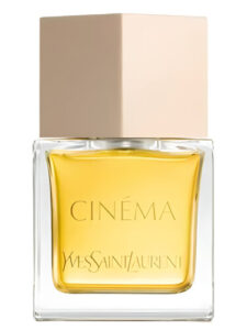 Cinéma 2024 Yves Saint Laurent