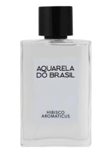 Hibisco Aquarela do Brasil