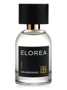 INFLORESCENCE (송아리) ELOREA | 향수