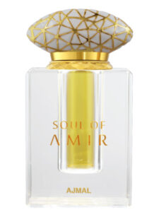 Soul Of Amir Ajmal
