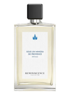 Sous un Mimosa de Provence Reminiscence