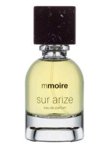 Sur Arize Mmoire