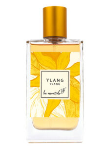 Ylang Ylang Les Essentiels